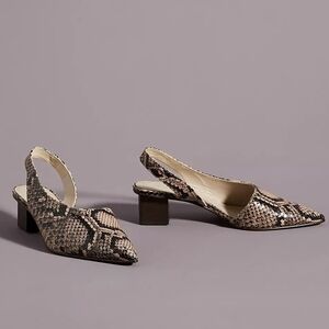 Freda Salvador Heels